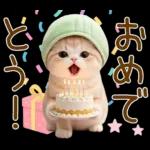 ずっと使える メロン帽が可愛い 猫とウサギ