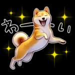 柴犬ワンダフル！！！！！