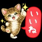 猫まみれのやさしい日常【春】