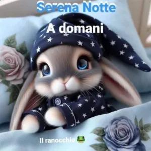 Serena Notte A domani Il ranocchio - getsticker.com