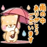 雨、梅雨、夏に使う❤️いやしばいぬ❤️柴犬