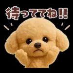 【3D】毎日使える挨拶♡トイプードル