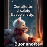Con affetto vi saluto E vado a letto. Buonanotte