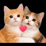 よろしくお願いします