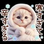 冬の猫のスコティッシュ【よく使う言葉】