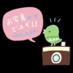 大人可愛い❤️シンプルキャラなし❤️