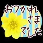 春✿明るい花で幸せ呼び込む✿やさしい声かけ