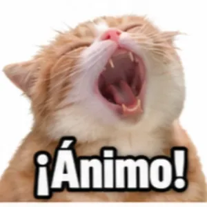 ¡Ánimo! - getsticker.com