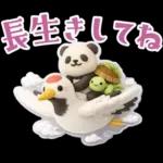 ぷっくり3D★パンダの誕生日