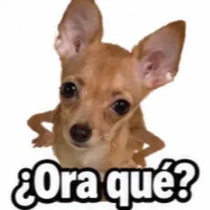 ¿Ora qué? - getsticker.com
