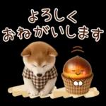 大人かわいい秋の癒し柴犬
