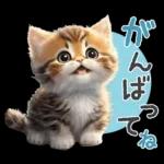 よろしくお願いします