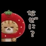 おひとよしネコチャン⭐️3Dフロッキー 1