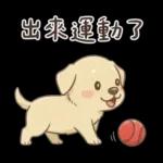 小拉拉 實用日常