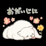 Samoyed-san in Spring