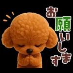 【3D】毎日使える挨拶♡トイプードル
