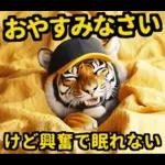 大阪神戸の野球好き虎ファン向け5とらほー