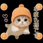 スコティッシュ猫 カラフル帽 夏 敬語