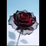 Te mando un abrazo con mucho cariño