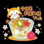 今日もゆるくがんばろう