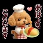 【秋冬】ずっと使える❤️日常会話 トイプー