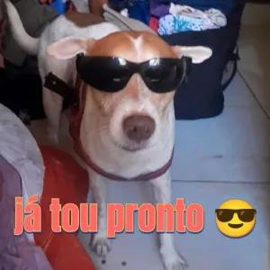 6NWyfQ