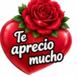 ¡Gracias!