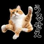 生成失敗猫【毒舌・煽り・煽る・シュール】