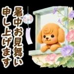 トイプードルの夏と梅雨のお天気カフェ