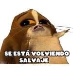 mamadas