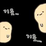 겨울철 부실감자 냉해주의