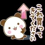 一年中使える連絡用パンダ