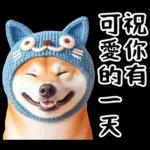 圓柴柴18:祝你有個可愛的一天❤️