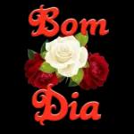 Adesivos de bênção