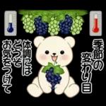 癒しを運ぶくまさん ♡ ほっこり秋