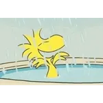 [날씨]초강력 태풍 '라가사' 中으로..