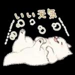 Samoyed-san in Spring