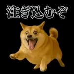 ガンギマリの柴犬＠エロ・日常会話