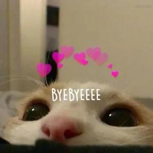 BYEBYEEEE - getsticker.com