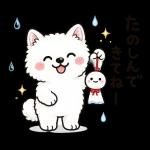スタンプ・雨の日サモエド
