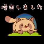 imananishiteru tanuki