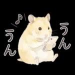 ゴールデンハムスター♡キンクマ