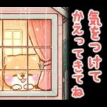 雨、梅雨、夏に使う❤️いやしばいぬ❤️柴犬