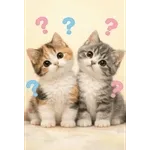 とびだす★ねこちゃんの日常