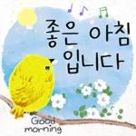 예쁜 꽃 다정한 일상인사톡