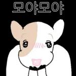 호기심 많은 소
