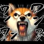 柴犬ワンダフル！！！！！