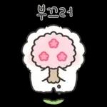 퐁실퐁실 퐁슈랑 벚꽃 보러 갈래?