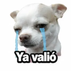 Ya valió - getsticker.com