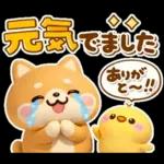 やさしいハートのしばいぬ